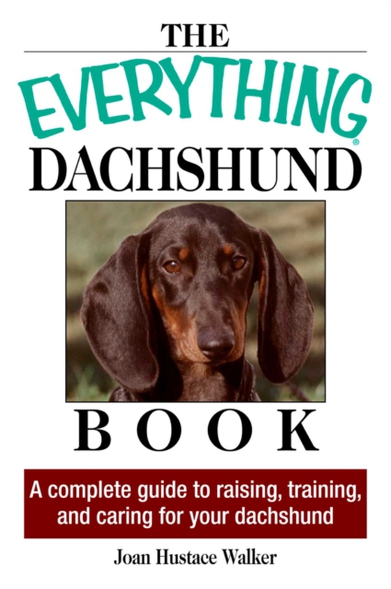 Everything Daschund Book