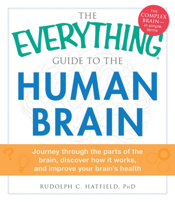 Everything Guide to the Human Brain