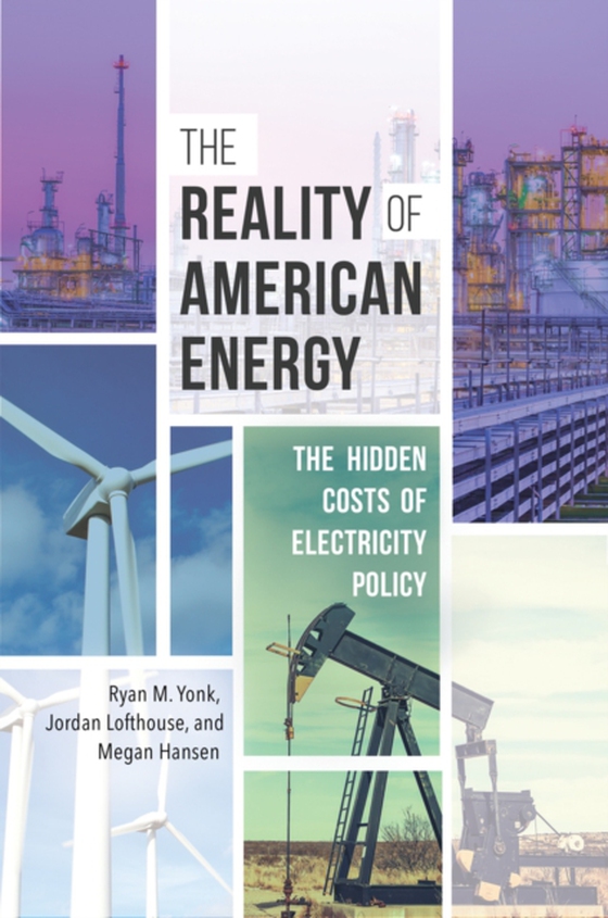 Reality of American Energy (e-bog) af Megan Hansen, Hansen