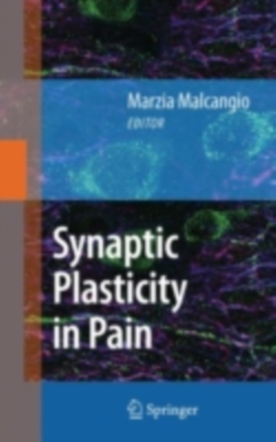 Synaptic Plasticity in Pain (e-bog) af -