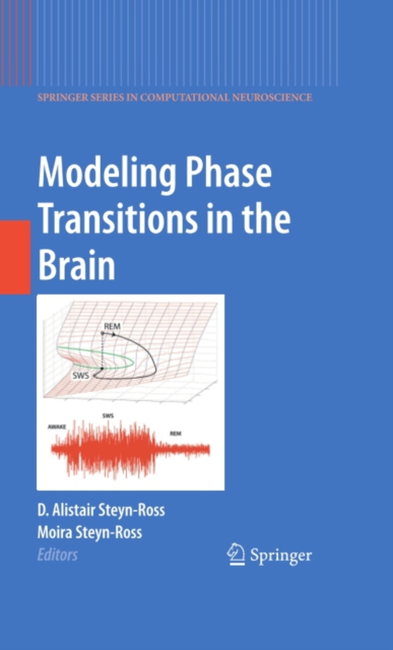 Modeling Phase Transitions in the Brain (e-bog) af -