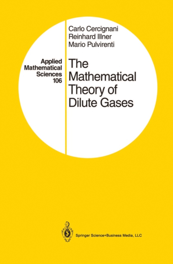 Mathematical Theory of Dilute Gases (e-bog) af Pulvirenti, Mario