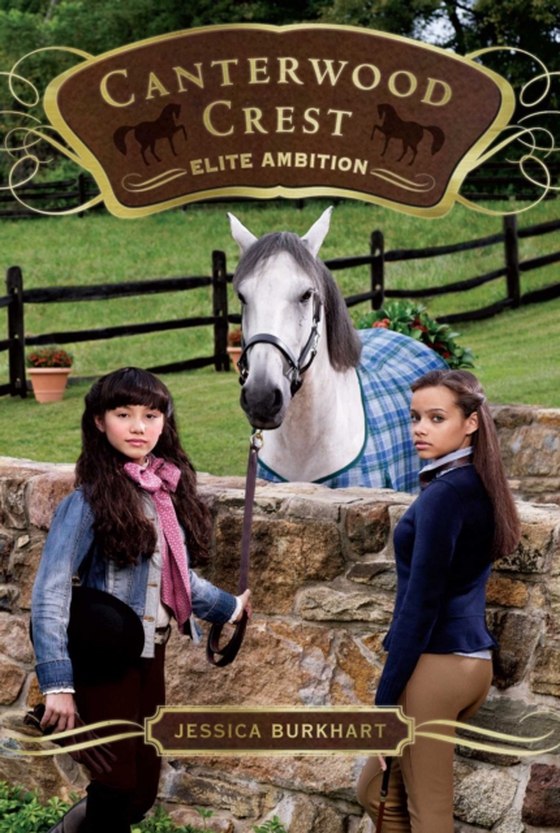 Elite Ambition (e-bog) af Burkhart, Jessica