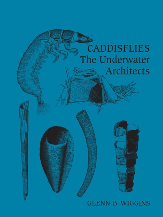 Caddisflies