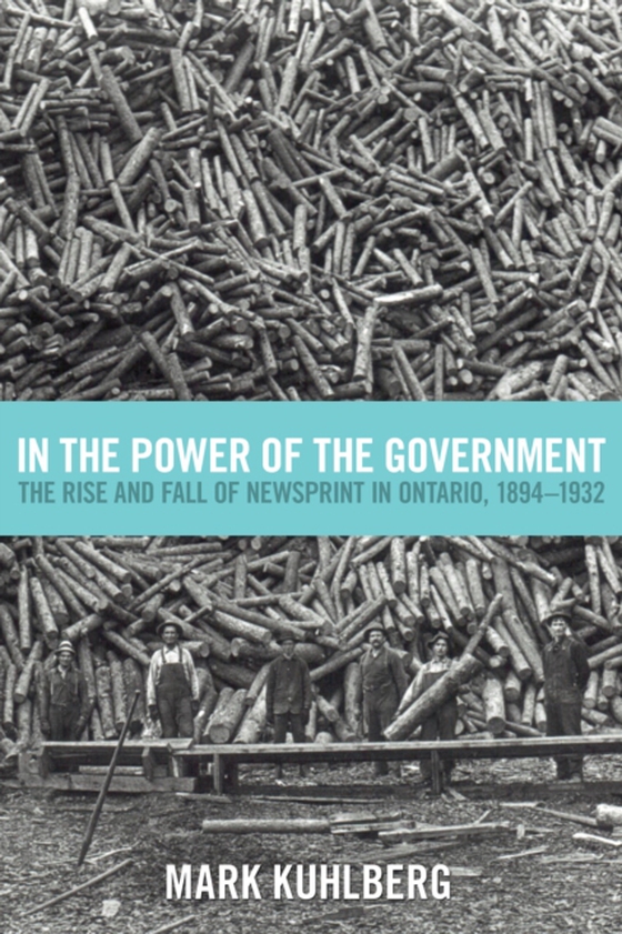 In the Power of the Government (e-bog) af Kuhlberg, Mark