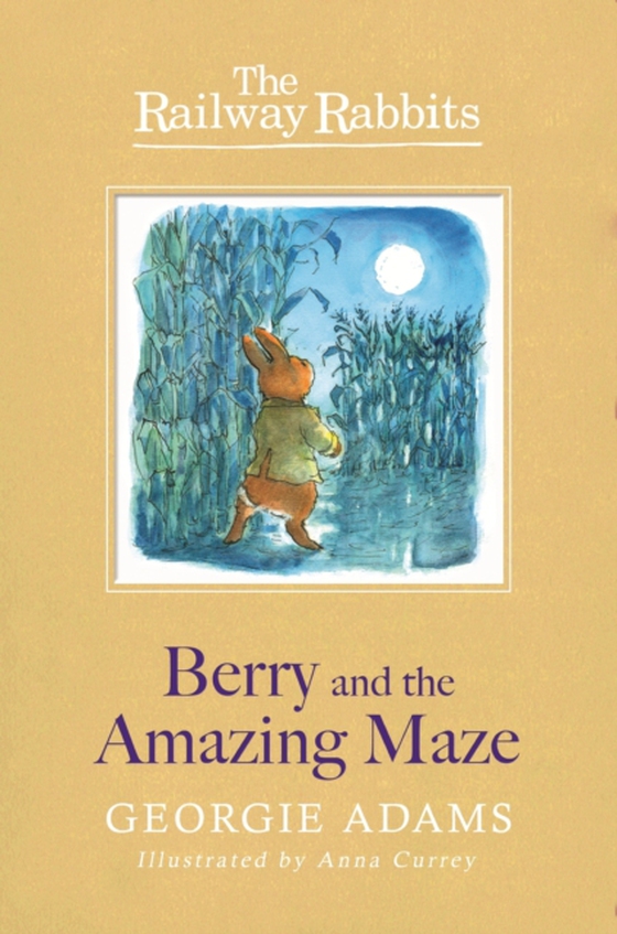 Berry and the Amazing Maze (e-bog) af Adams, Georgie