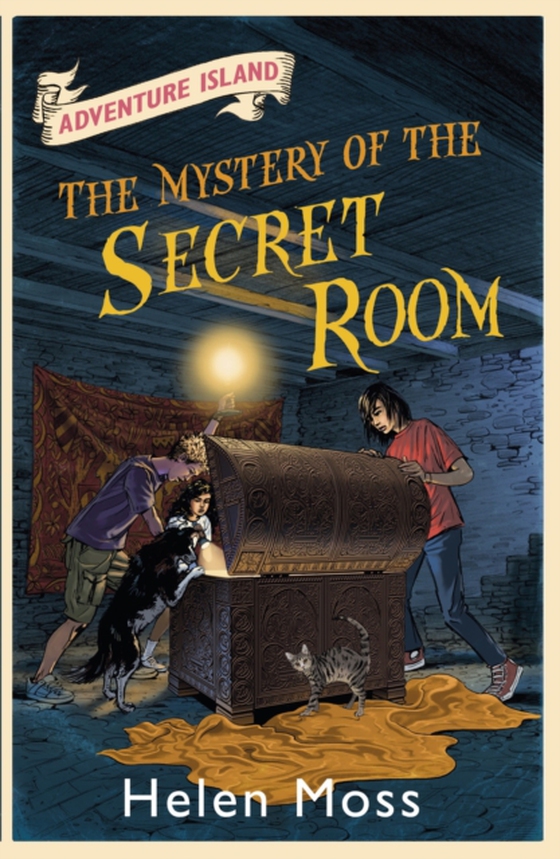 Mystery of the Secret Room