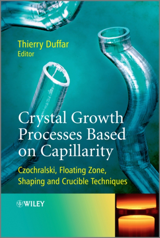 Crystal Growth Processes Based on Capillarity (e-bog) af -