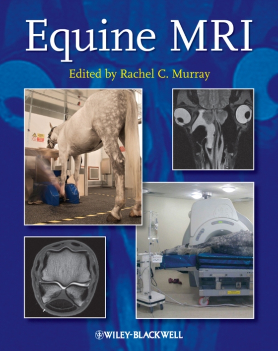 Equine MRI (e-bog) af -