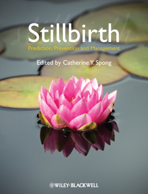 Stillbirth (e-bog) af -