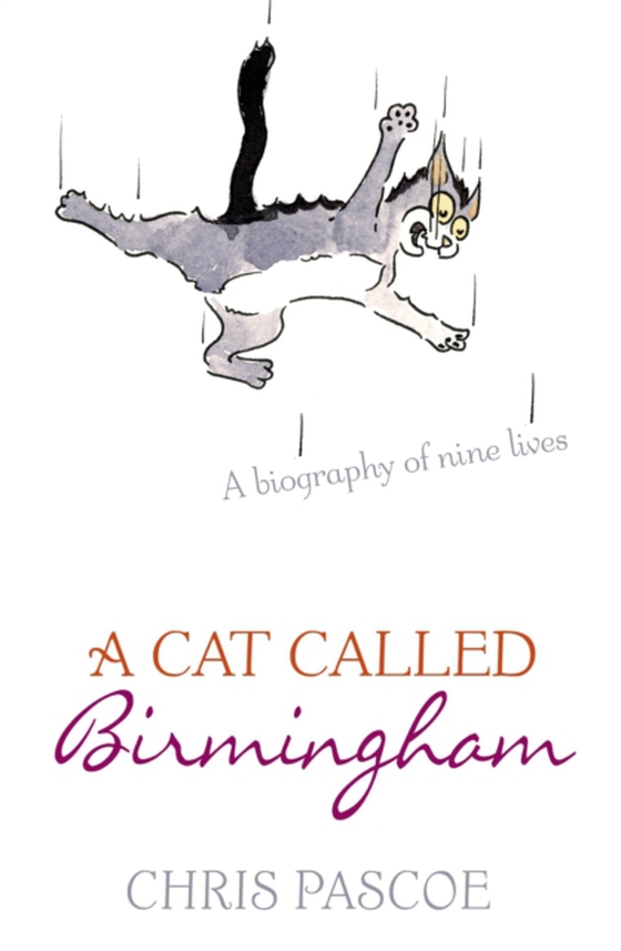 Cat Called Birmingham (e-bog) af Pascoe, Chris