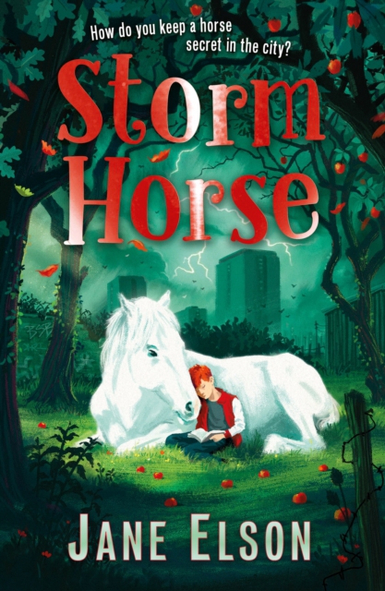 Storm Horse (e-bog) af Elson, Jane