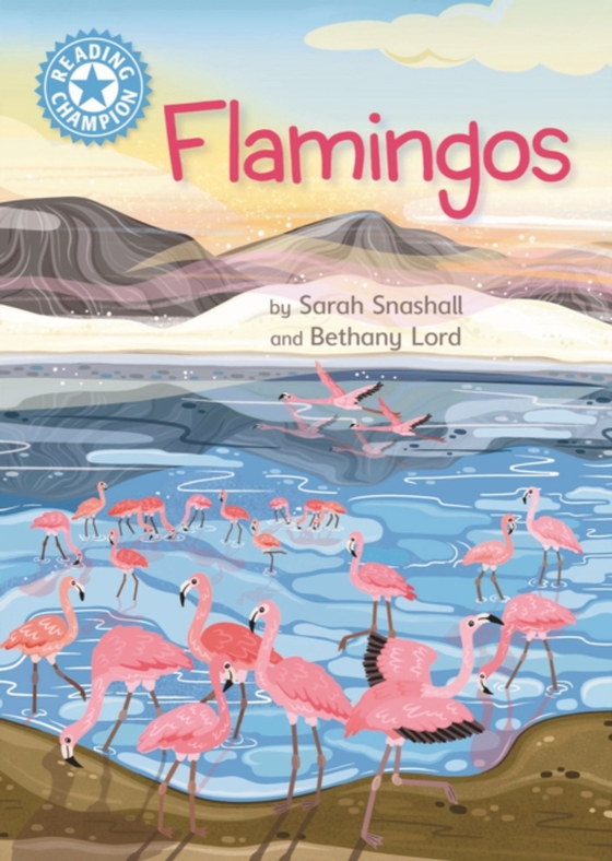 Flamingos