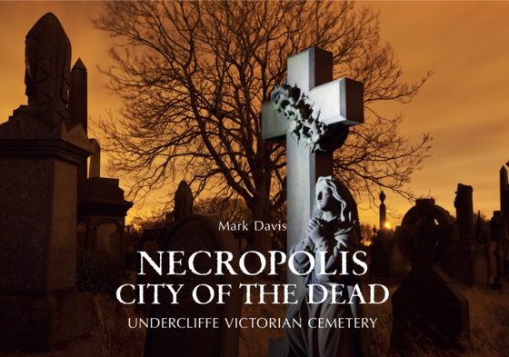 Necropolis City of the Dead (e-bog) af Davis, Mark