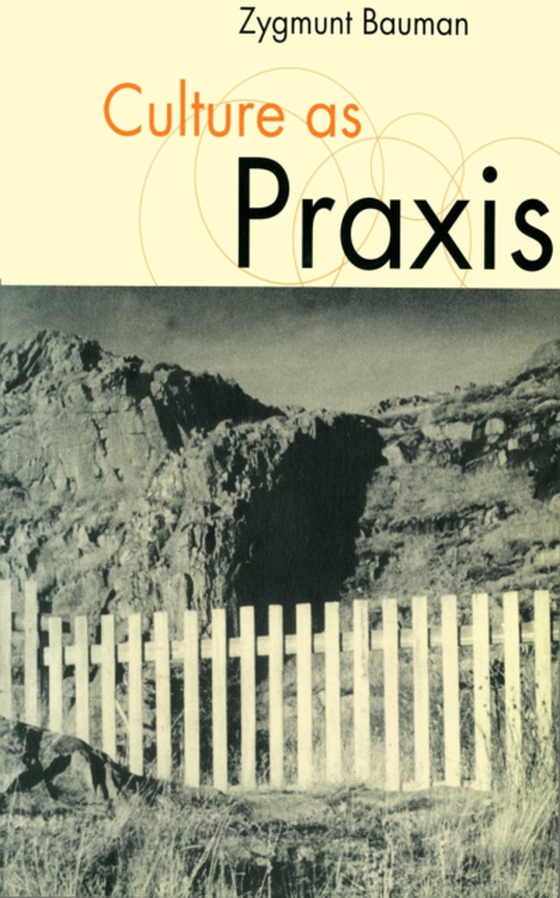 Culture as Praxis (e-bog) af Bauman, Zygmunt