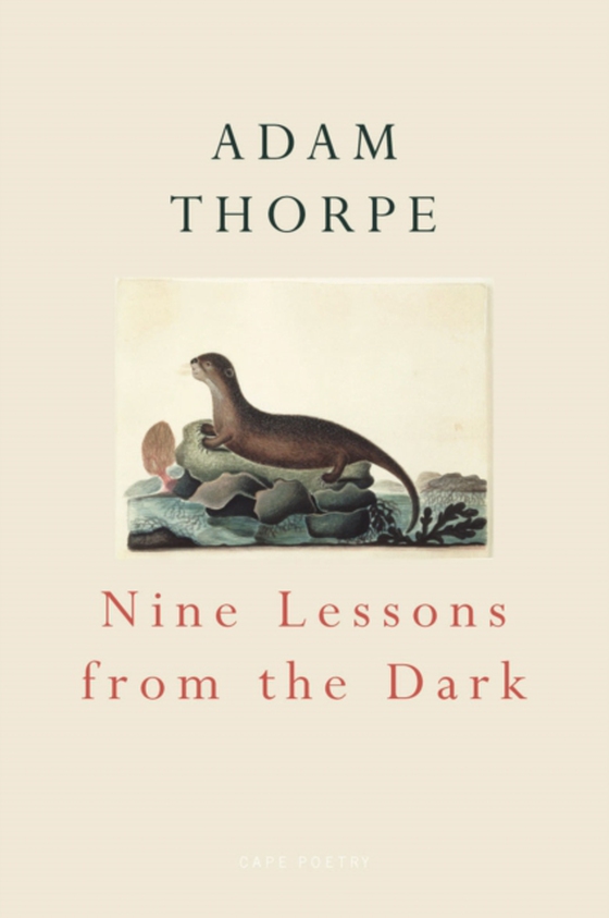 Nine Lessons From The Dark (e-bog) af Thorpe, Adam