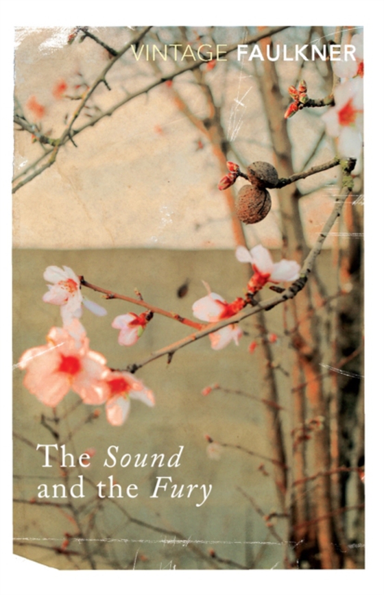 Sound and the Fury (e-bog) af Faulkner, William