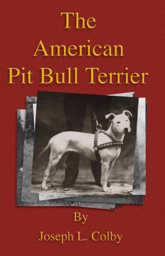 American Pit Bull Terrier (History of Fighting Dogs Series)