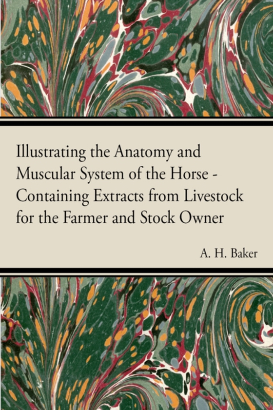 Illustrating the Anatomy and Muscular System of the Horse - Containing Extracts from Livestock for the Farmer and Stock Owner (e-bog) af Baker, A. H.