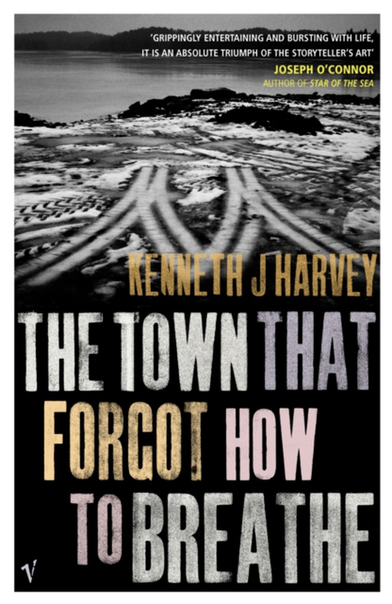 Town That Forgot How To Breathe (e-bog) af Harvey, Kenneth J