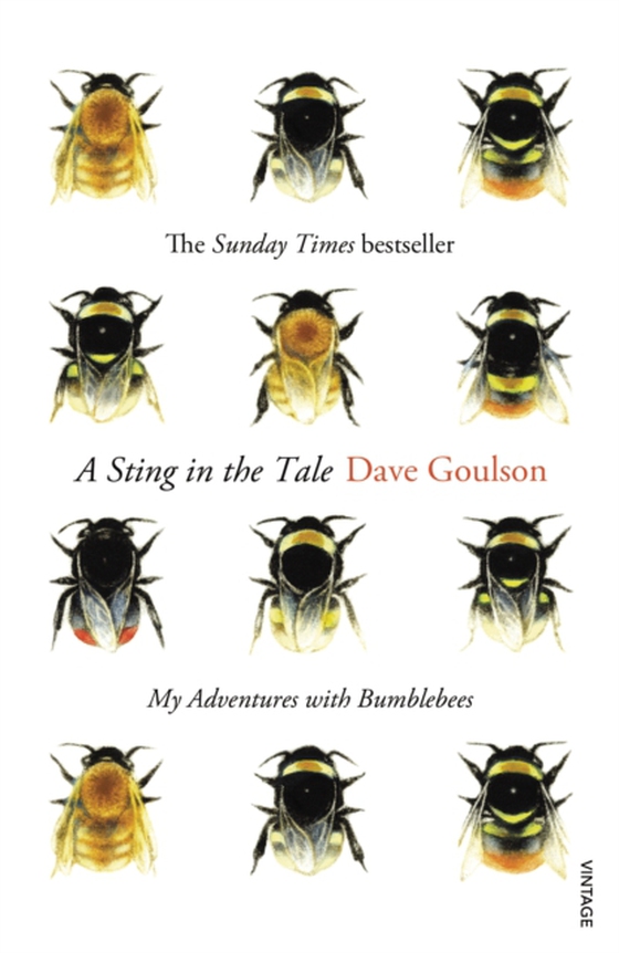 Sting in the Tale (e-bog) af Goulson, Dave