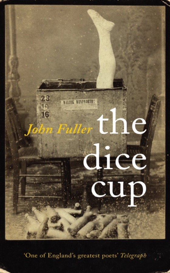 Dice Cup (e-bog) af Fuller, John