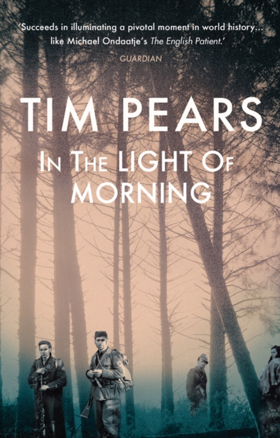 In the Light of Morning (e-bog) af Pears, Tim