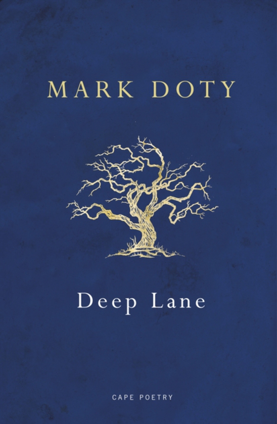 Deep Lane (e-bog) af Doty, Mark