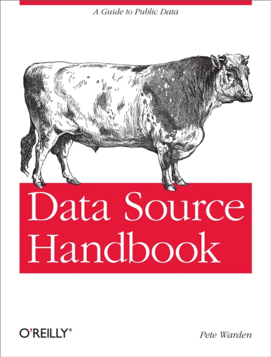 Data Source Handbook (e-bog) af Warden, Pete