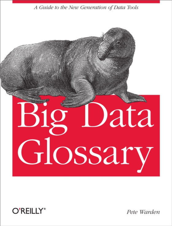 Big Data Glossary (e-bog) af Warden, Pete