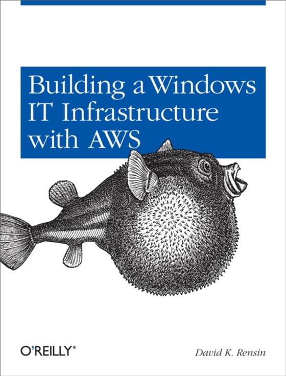 Building a Windows IT Infrastructure in the Cloud (e-bog) af Rensin, David K.