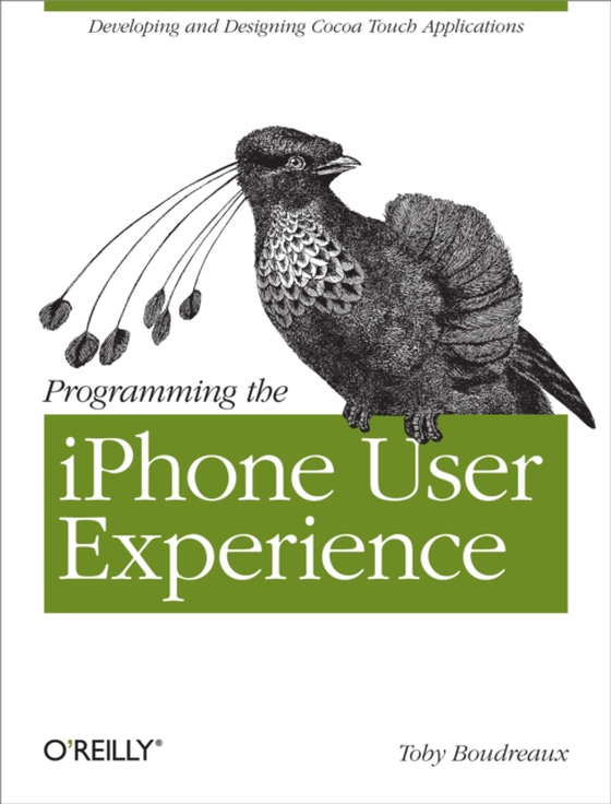 Programming the iPhone User Experience