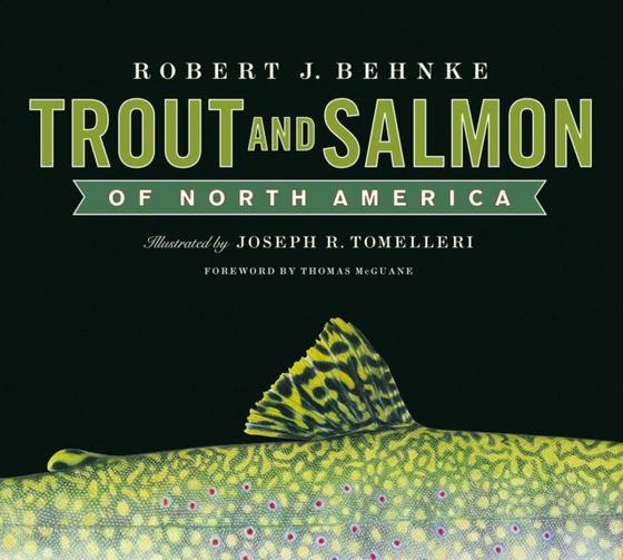 Trout and Salmon of North America (e-bog) af Behnke, Robert