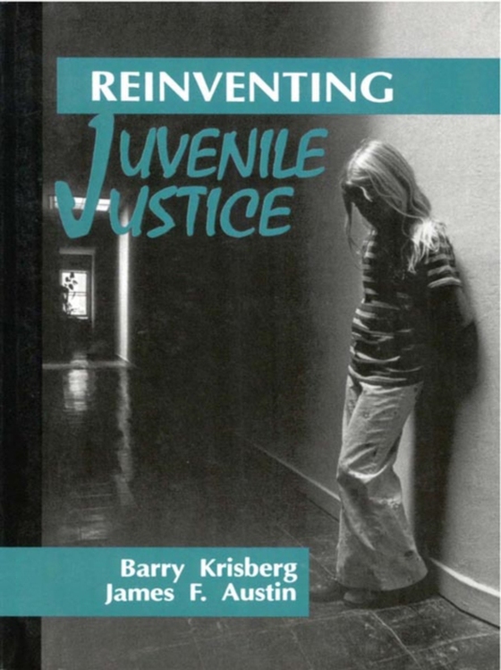 Reinventing Juvenile Justice (e-bog) af Austin, James F.
