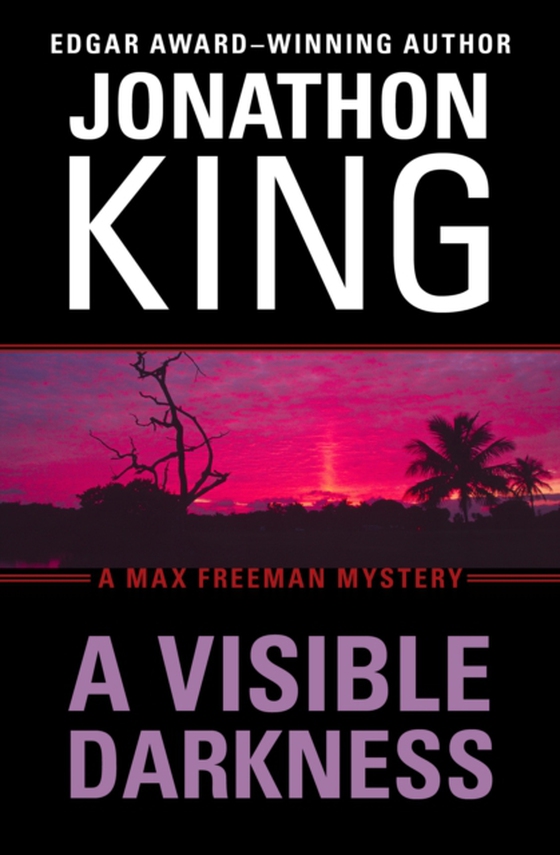 Visible Darkness (e-bog) af King, Jonathon