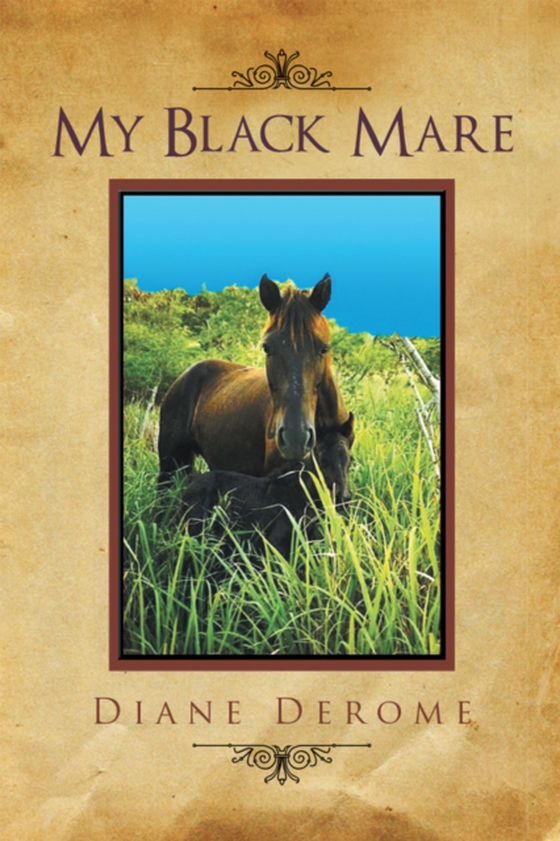 My Black Mare