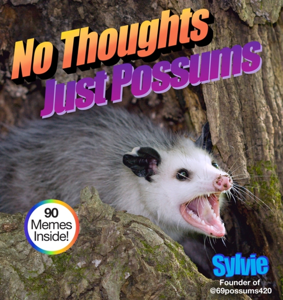 No Thoughts Just Possums (e-bog) af Sylvie
