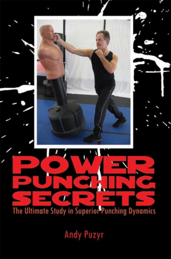 Power Punching Secrets (e-bog) af Puzyr, Andy