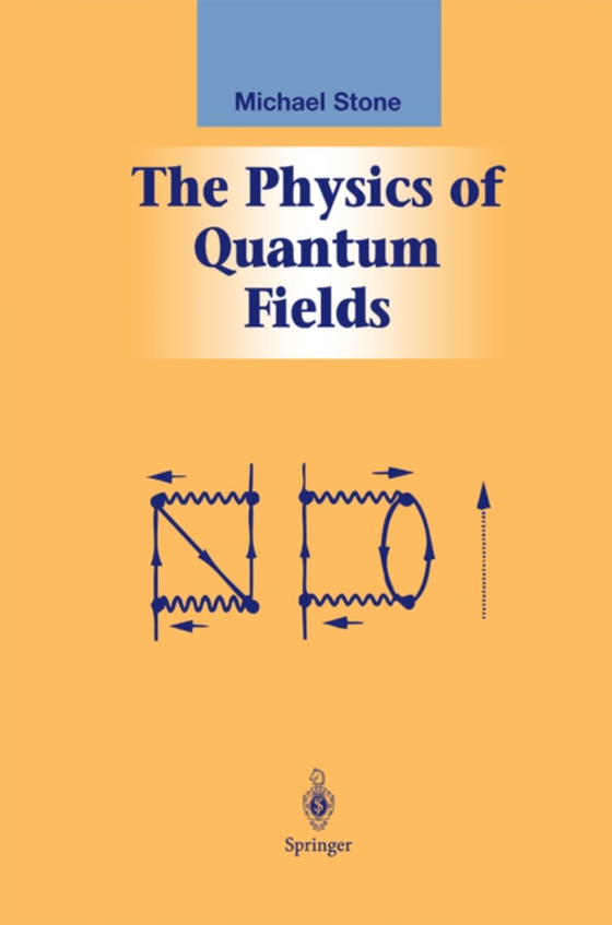 Physics of Quantum Fields (e-bog) af Stone, Michael