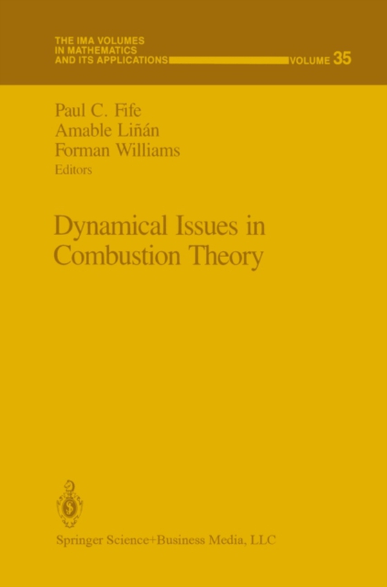 Dynamical Issues in Combustion Theory (e-bog) af -