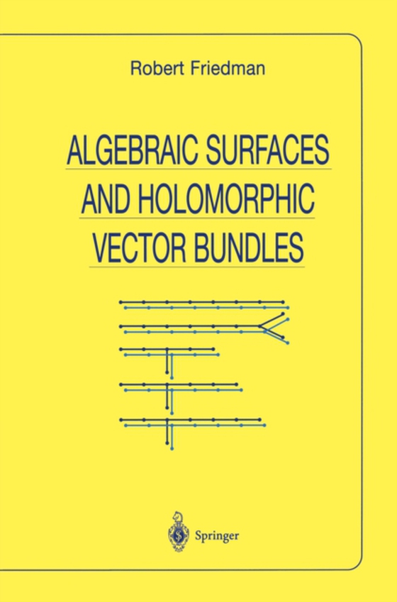 Algebraic Surfaces and Holomorphic Vector Bundles (e-bog) af Friedman, Robert