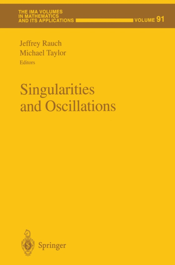 Singularities and Oscillations (e-bog) af -