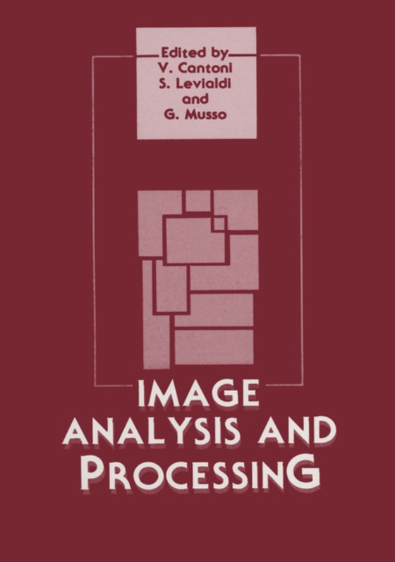 Image Analysis and Processing (e-bog) af Musso, G.