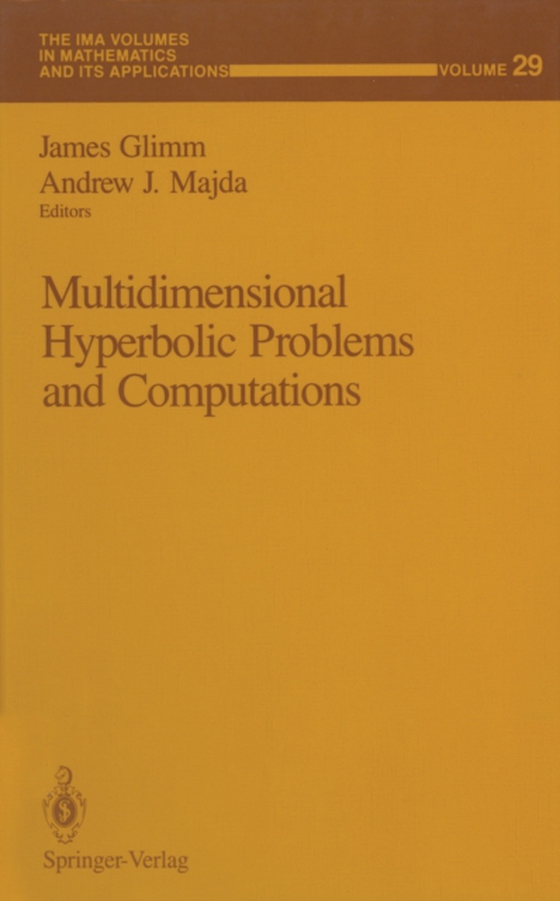 Multidimensional Hyperbolic Problems and Computations (e-bog) af -