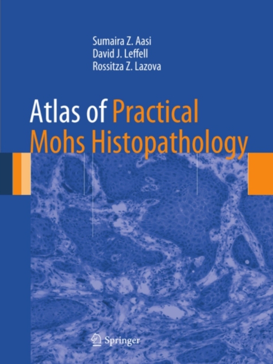 Atlas of Practical Mohs Histopathology