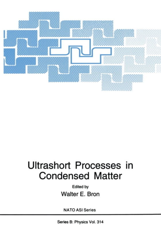 Ultrashort Processes in Condensed Matter (e-bog) af -