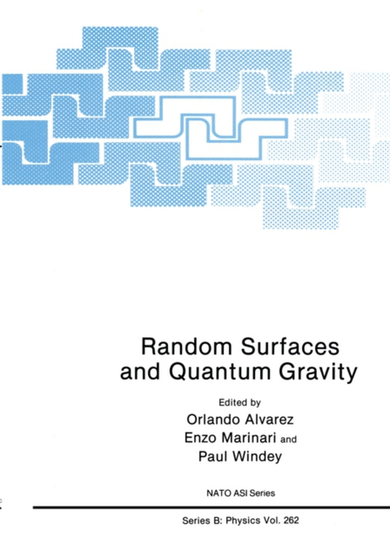 Random Surfaces and Quantum Gravity (e-bog) af -