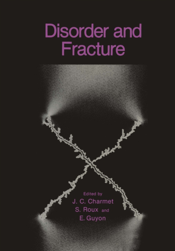 Disorder and Fracture (e-bog) af -