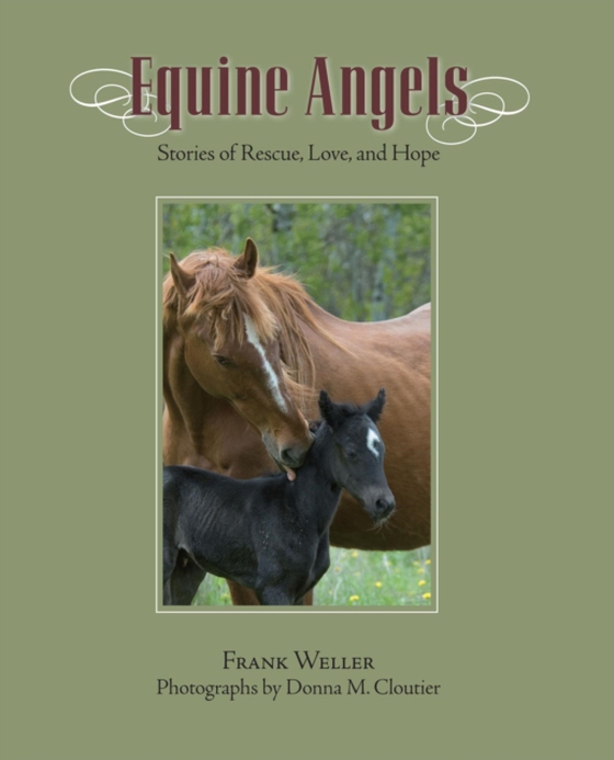 Equine Angels (e-bog) af Weller, Frank