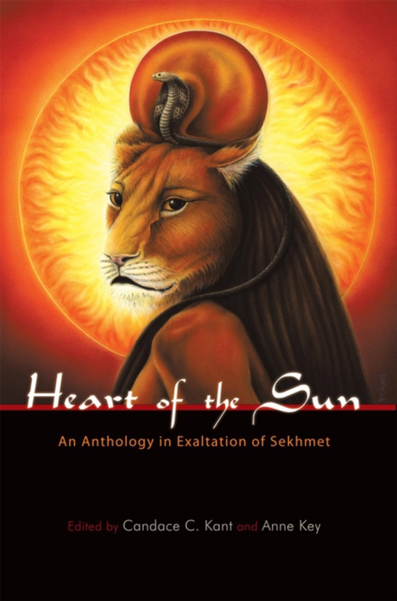 Heart of the Sun (e-bog) af -